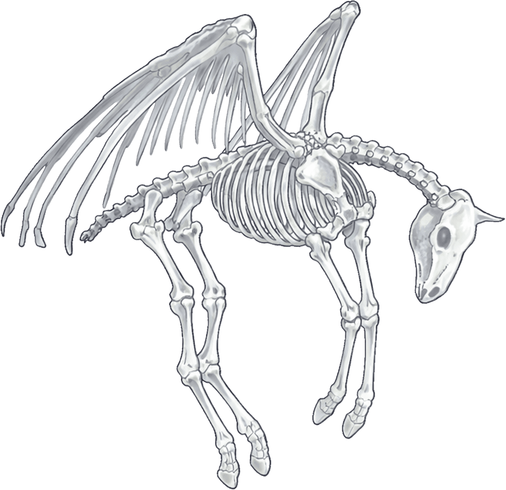 artwork of a horse skeleton