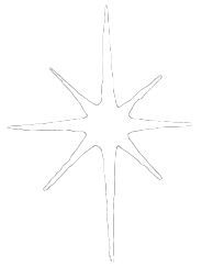 decorative star